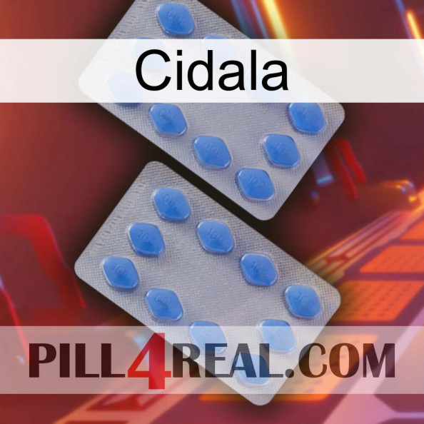 Cidala 20